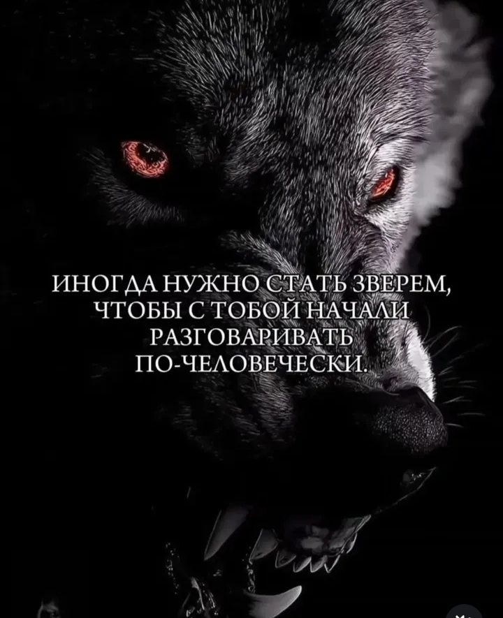 Никита